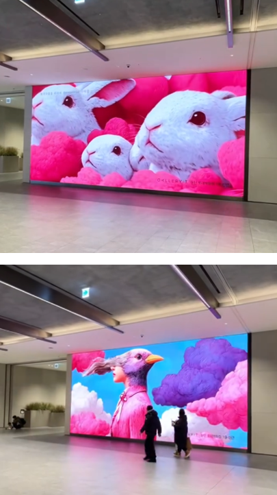 토끼구름을 쫒아서