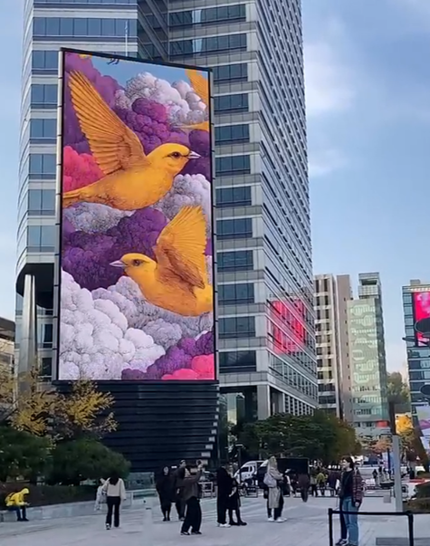 토끼구름을 쫒아서